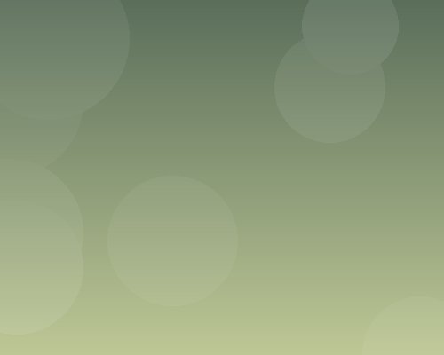 Professional Development volunteer program